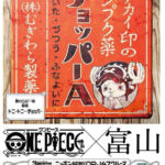 One Piece OPJ47 Cruise Toyama Chopper