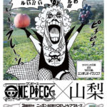One Piece OPJ47 Cruise Yamanashi Ivankov
