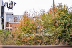 The Walking Dead 5 Temporada Spoilers Filmagens Gin Property 2