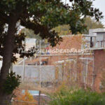 The Walking Dead 5 Temporada Spoilers Filmagens Gin Property 4
