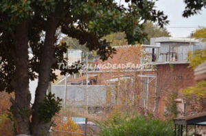 The Walking Dead 5 Temporada Spoilers Filmagens Gin Property 4