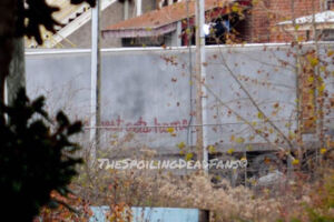 The Walking Dead 5 Temporada Spoilers Filmagens Gin Property 5