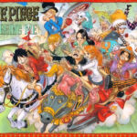 One Piece Capa Colorida 771