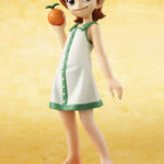 Nami P.O.P CB R2 1