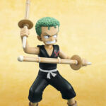 Zoro P.O.P CB R2 2