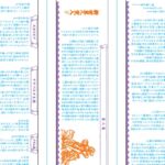 One Piece Papel Higiênico Estampas 2