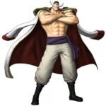 One Piece Pirate Warriors 3 Barba Branca Edward Newgate