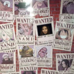One Piece Hong Kong 3D Museum Wanted 1