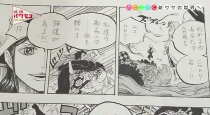 One Piece Tanken Bakumon Tanken Bakumon Robin Depois