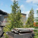 The Walking Dead 6 Temporada Grava%C3%A7%C3%B5es Caminh%C3%A3o Lobos