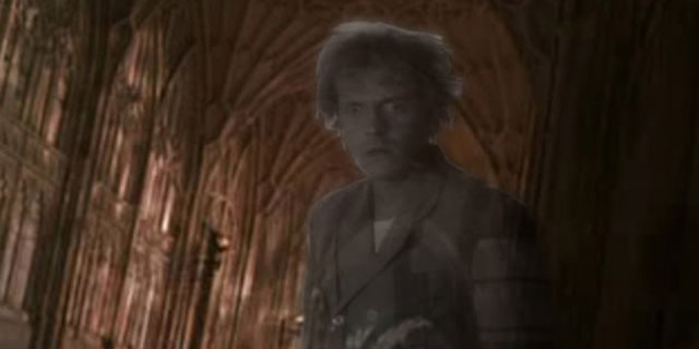 Harry-Potter-Rik-Mayall-Pirraça