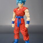 Dragon Ball Super Saiyajin God Super Saiyajin Son Goku 1