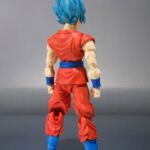 Dragon Ball Super Saiyajin God Super Saiyajin Son Goku 2
