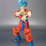 Dragon Ball Super Saiyajin God Super Saiyajin Son Goku 5