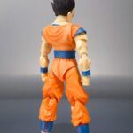 Dragon Ball Ultimate Son Gohan 2