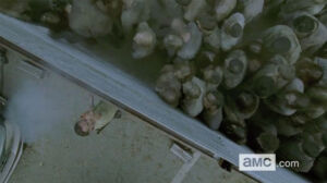 the walking dead 6 temporada trailer 06 zumbis