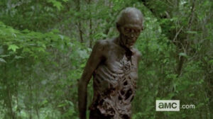 the walking dead 6 temporada trailer 08 zumbi