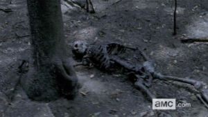 the walking dead 6 temporada trailer 44