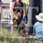 The Walking Dead 6 Temporada Filmagens Paul Monroe Jesus ET Online Zumbi