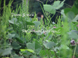 The Walking Dead 6 Temporada Filmagens Paul Monroe Jesus Rick Grimes Daryl Dixon