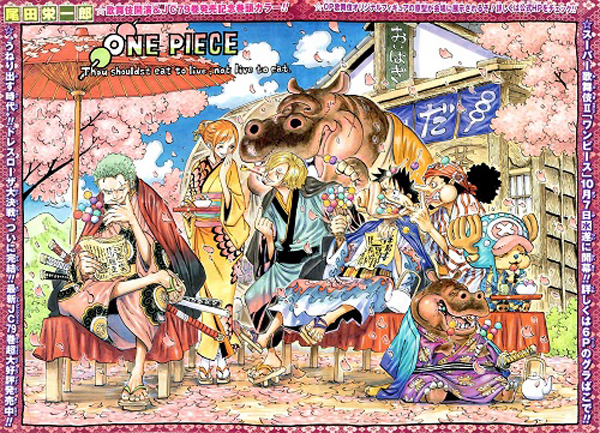 One-piece-capa-colorida-color-spread-802