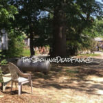 The Walking Dead 6 Temporada Filmagens Epis%C3%B3dio 5 24 Zumbis