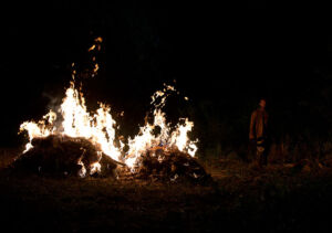 the walking dead s06e04 foto 01 morgan