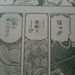 One Piece Cap%C3%ADtulo 807 Spoiler 6 Wanda Zoro Brook