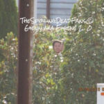 The Walking Dead 6 Temporada Filmagens Epis%C3%B3dio 7 40 Glenn Eugene