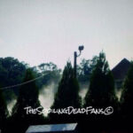 The Walking Dead 6 Temporada Filmagens Epis%C3%B3dio 7 67 Torre