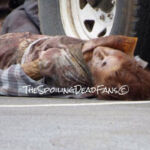 The Walking Dead 6 Temporada Filmagens Episódio 6 13 Zumbi