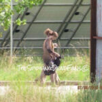 The Walking Dead 6 Temporada Filmagens Episódio 7 44 Zumbis