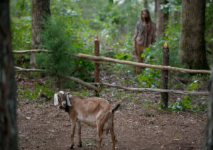 the walking dead s06e04 foto 08 tabitha