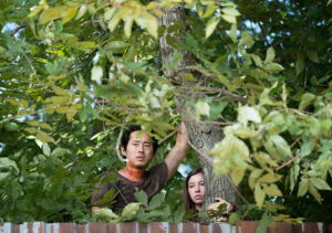 the walking dead s06e08 foto 07 glenn enid