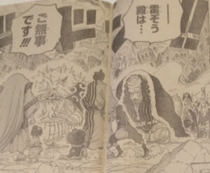 One Piece Spoiler Cap%C3%ADtulo 816 4 Inu Neko