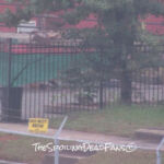 The Walking Dead 6 Temporada Epis%C3%B3dio 15 Edif%C3%ADcio 4