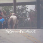 The Walking Dead 6 Temporada Epis%C3%B3dio 15 Morgan Cavalo 1