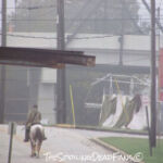 The Walking Dead 6 Temporada Epis%C3%B3dio 15 Morgan Cavalo 4