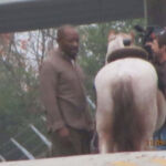 The Walking Dead 6 Temporada Epis%C3%B3dio 15 Morgan Cavalo 6