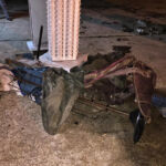 The Walking Dead 6 Temporada Spoilers Filmagens Epis%C3%B3dio 10 Posto de Gasolina 7