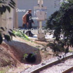 The Walking Dead 6 Temporada Spoilers Filmagens Epis%C3%B3dio 14 Denise Daryl 2