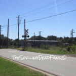 The Walking Dead 6 Temporada Spoilers Filmagens Epis%C3%B3dio 14 Trilhos 1