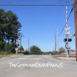 The Walking Dead 6 Temporada Spoilers Filmagens Epis%C3%B3dio 14 Trilhos 2