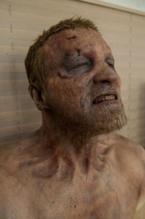 merle dixon zumbi 10