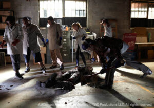 the walking dead s01e02 foto 12 jacqui t dog morales andrea glenn rick