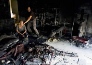 the walking dead s02e06 foto 06 andrea shane