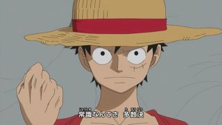 One piece abertura 19 we can 28 luffy