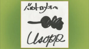 One Piece Epis%C3%B3dio 746 Aut%C3%B3grafo Usopp