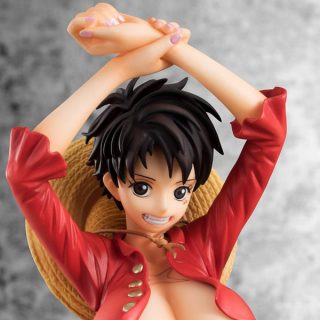 One piece monkey d luffy pop iro 11