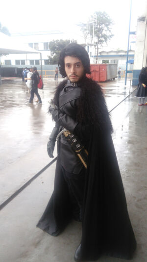 Anime Friends 2016 Cosplays 13